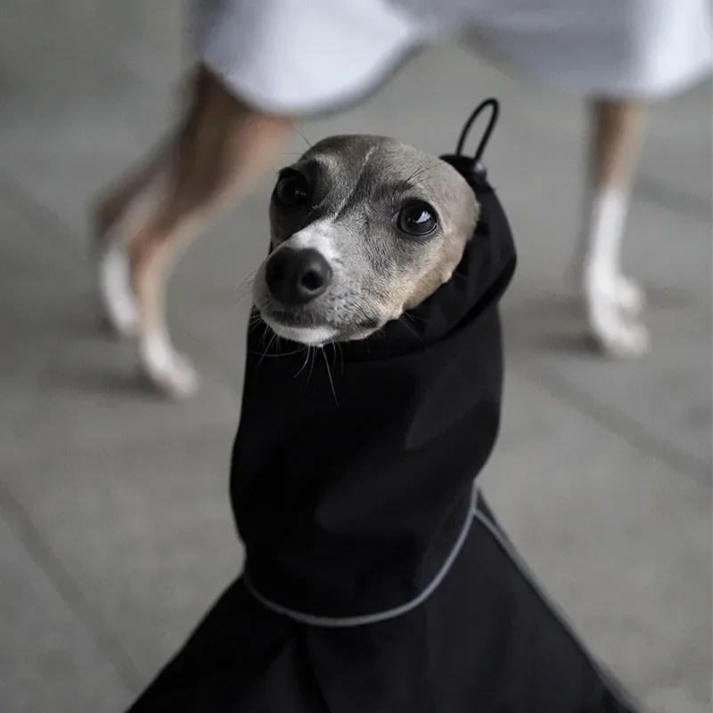 Lightweight Greyhound Raincoat Windproof Waterproof Pet Jacket