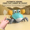 Crawling Crab Toys Light Music Crawling Fun Toys Electric Induction Escape Toy Pets Electronic Interactive Toy for Dogs and Cats 2