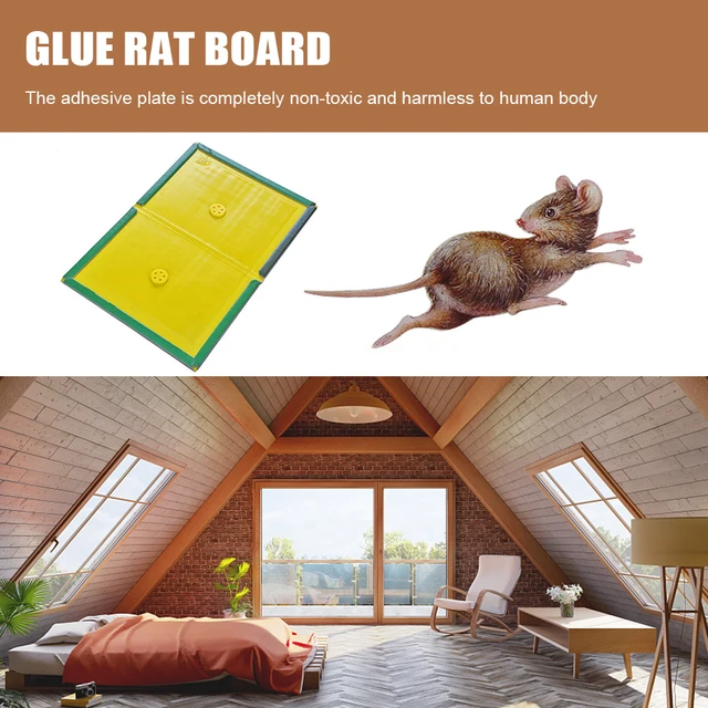 Ragadós Patkánycsapdák Nem Mérgező Kártevőirtó Csapdák, Amelyek Készen Állnak A Szabadban Lévő Beltéri Használatra.