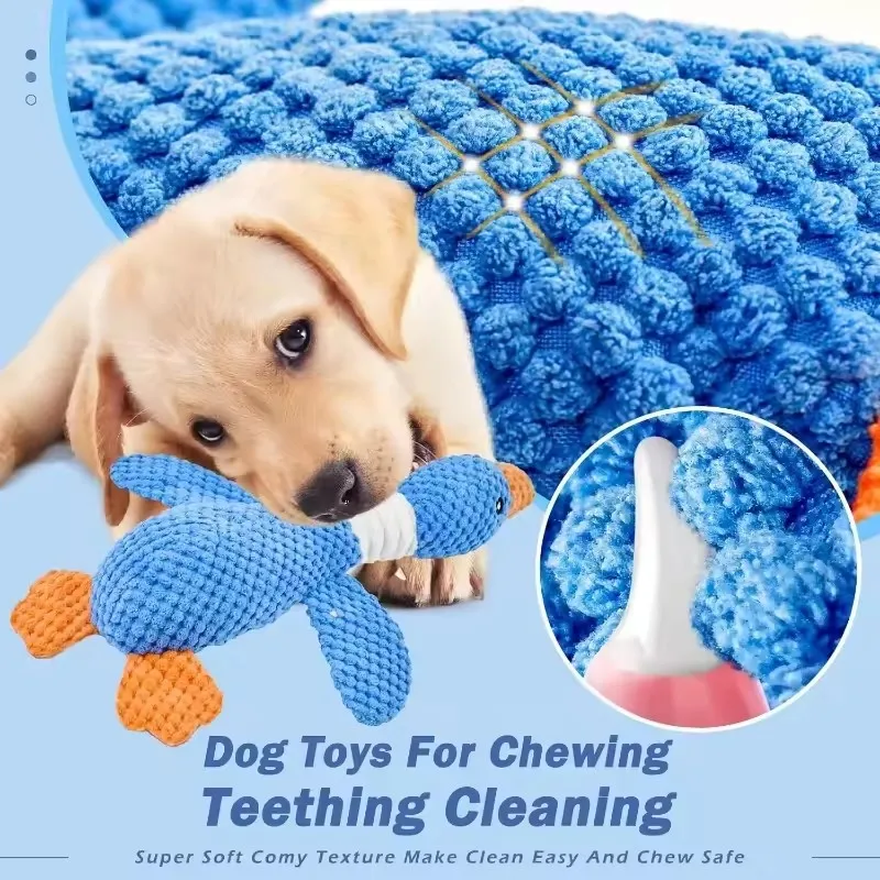 Durable Squeaky Pet Toy 2