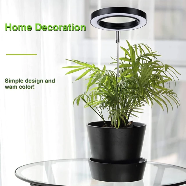 Lampes de culture pour plantes d'intérieur, lumière LED Halo pour petites  plantes, lampe de culture blanche à lumière du soleil réglable en hauteur