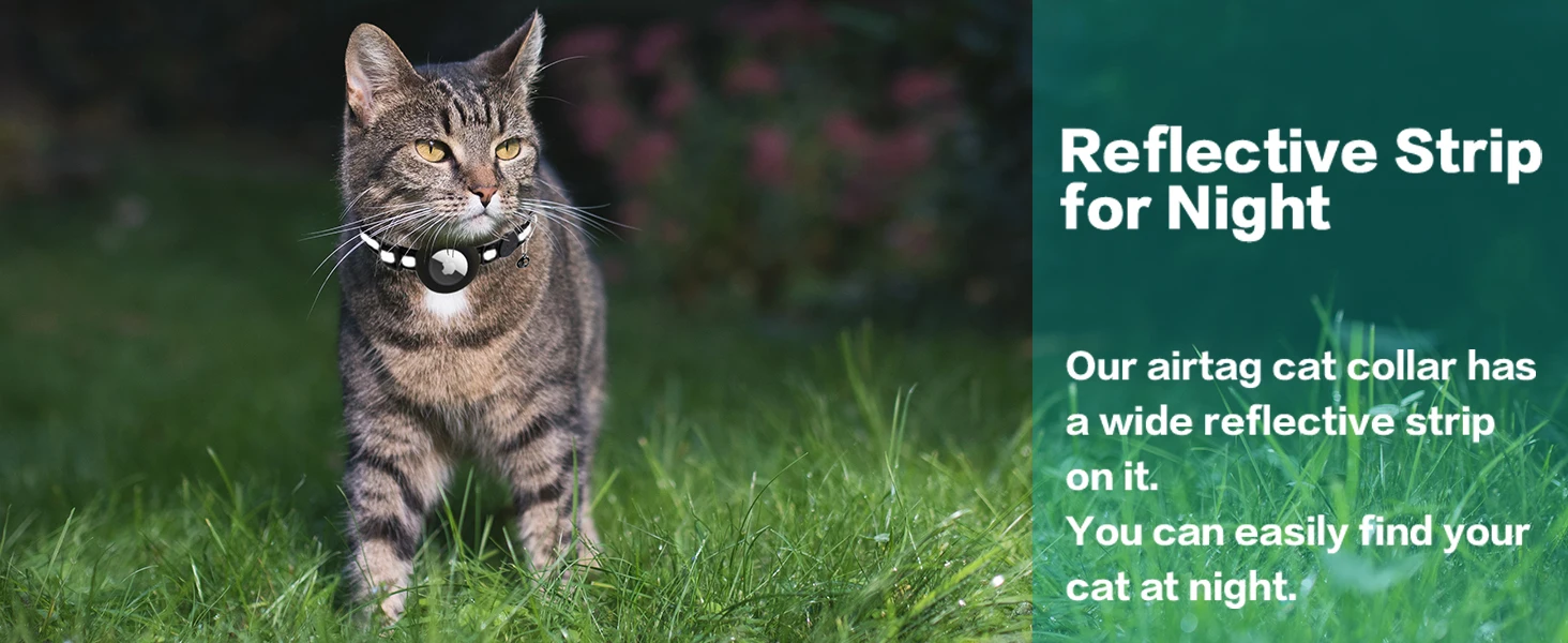 airtag collar cat