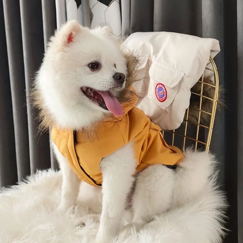 Artik Feather Down Dog Vest