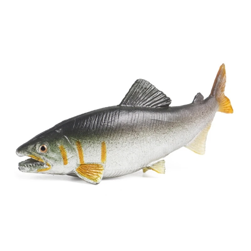 Animal Plastic Fish Model Desktop Home Ornament DIY Realistic Artificial Hand Paint Adult Collection Craft Fish Toy 4