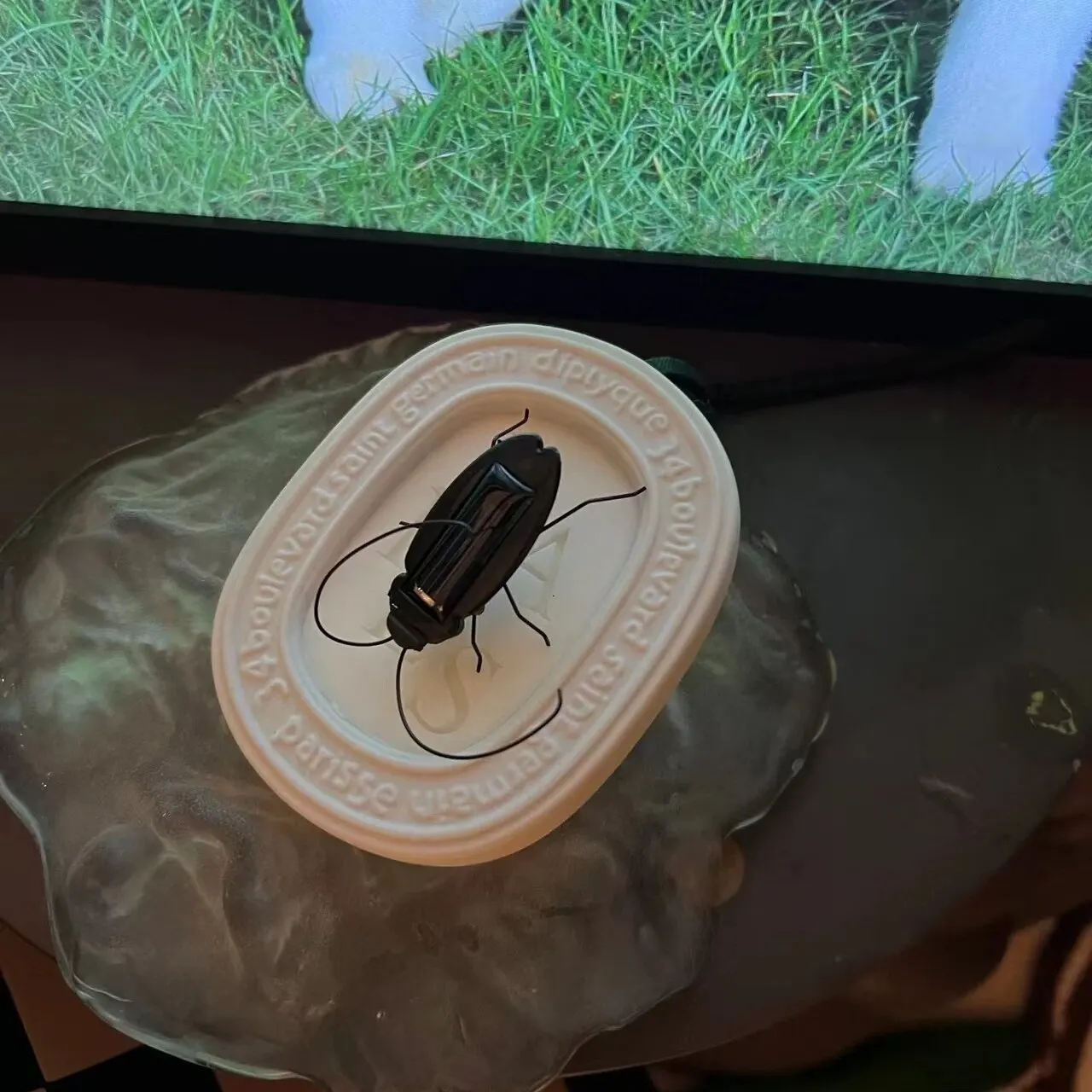 Solar Powered Science Cockroaches Toys Christmas Birthday Gift