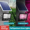 35W/60W Solar LED Grow Light Waterproof Full Spectrum Floodlight Hydroponic Plant Lamp with Remote Phytolamp for Seeding Growth 2