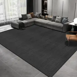 Solid Color Living Room Carpet Simple Rugs for Bedroom Decoration Maison Dirt Resistance Black Floor Mat Large Area Parlor Rug