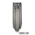 1BH613