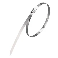 50Pcs 304 Stainless Steel Cable Ties, Self-Locking Anti-Rust Metal Zip Ties for Electrical Wiring Harness, Heavy Duty 6