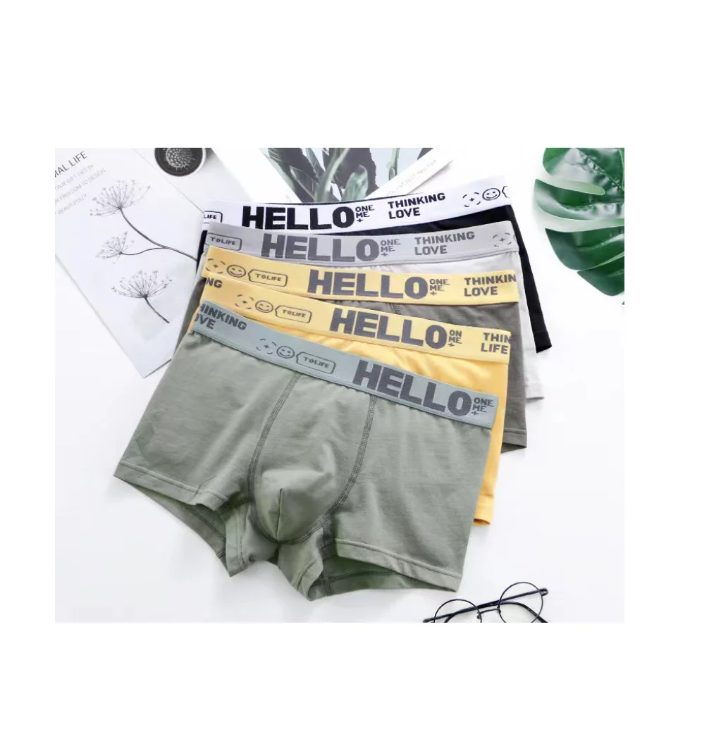 5pcs Men’s Underwear Male Boxershort Sexy Underpant Refreshing Comfortable Breathable Fashion New Style Catton Boy Catton Boxers