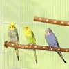 Natural Wood Bird Parakeet Stand Branch Fork Perch Rod Stand Paw Grinding Stick Bird Cage Accessories for Pet Budgies Cockatiels 1
