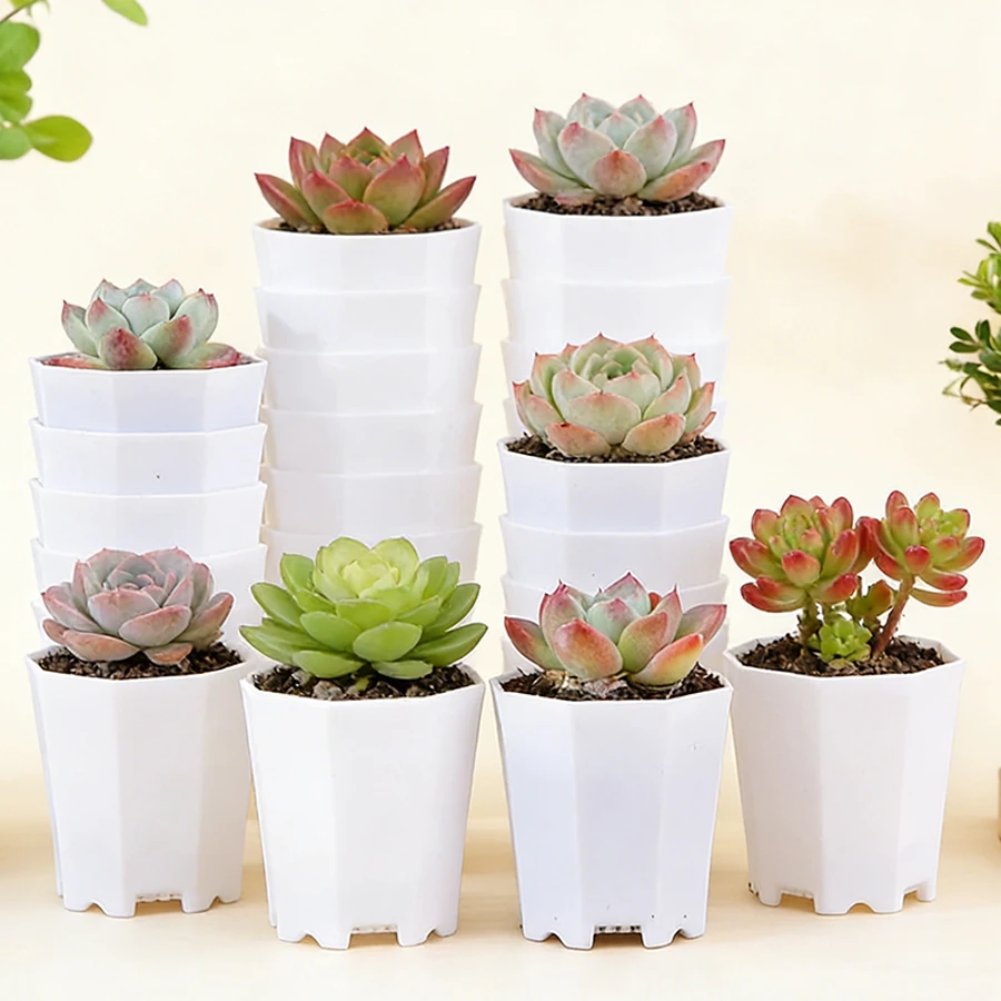 Set of 27 Durable Octagonal White Mini Plant Nursery Pots - Ideal for Succulent and Flower Display
