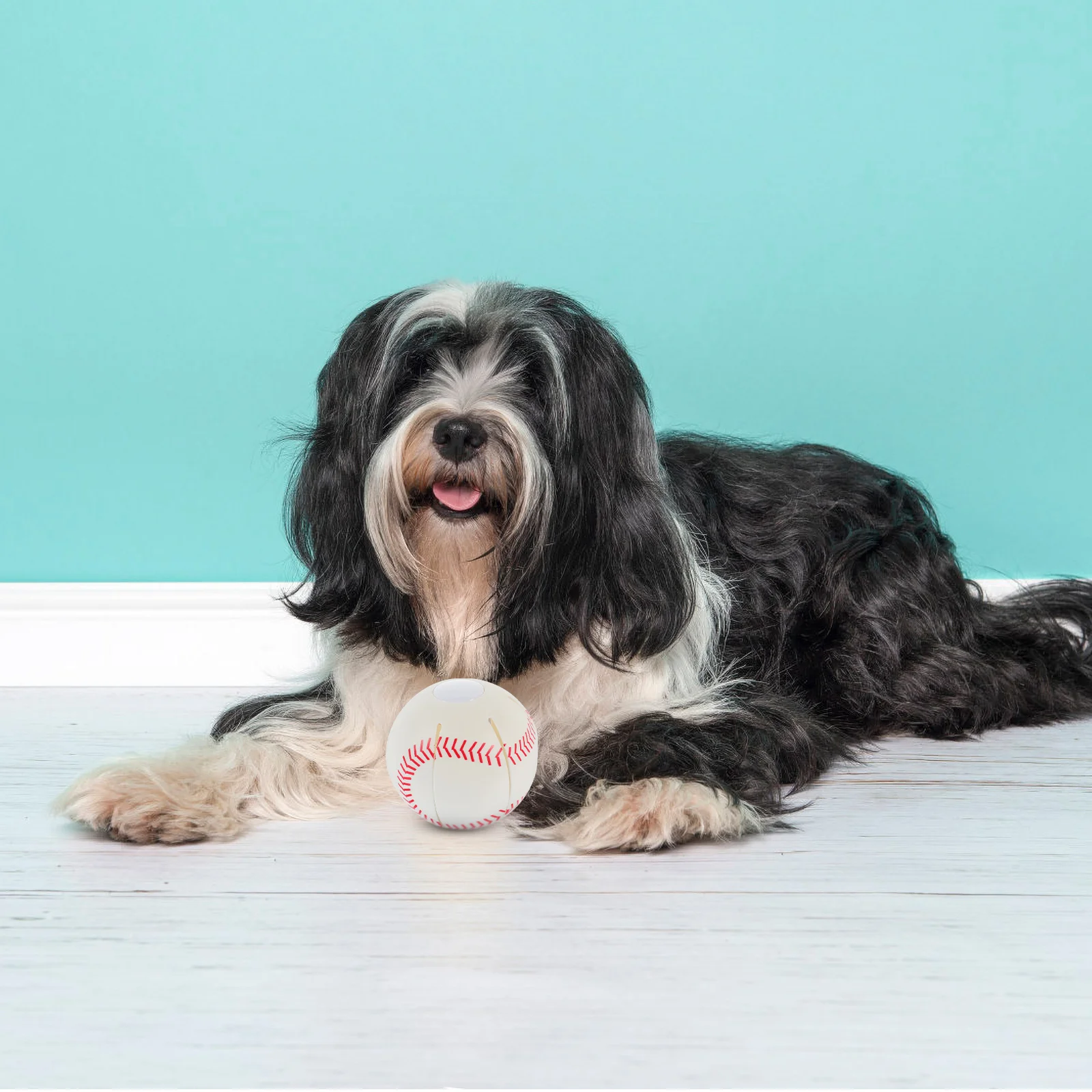 

Ball Dog Teething Hand Pressure Pet Supplies Interactive Plastic Chew Toys