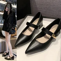 Women High Heels Mary Jane Single Shoes Pointed Toe Dress Party Slingback Sandals Fashion Summer New Pumps Walking Zapatos Mujer 1