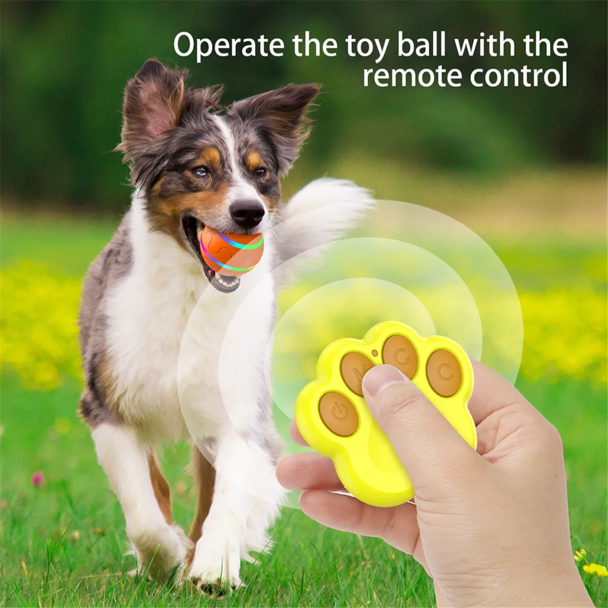 

Interactive Dog ToysSmart Electric Pet Automatic Rolling Ball Cat Dog Toys for Puppies/Small to Medium Dog with Remote-C