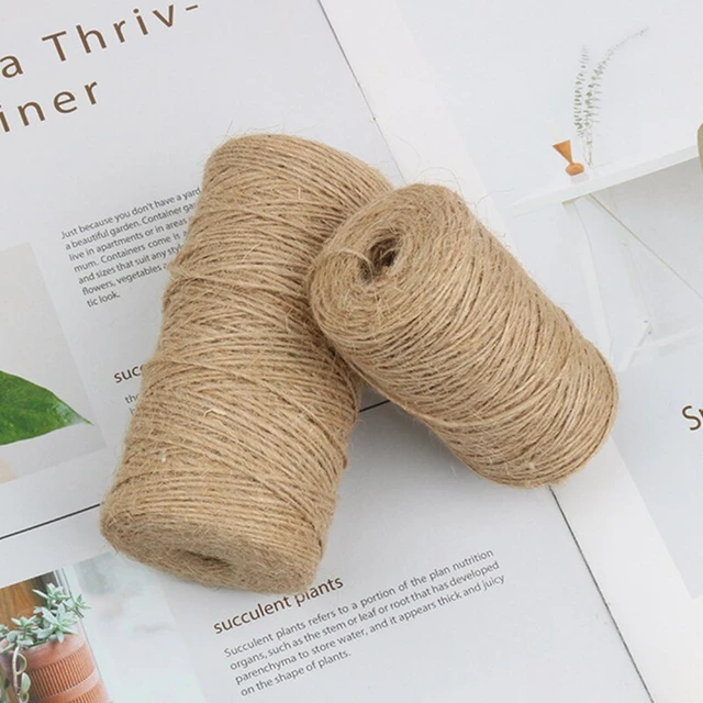 100m Jute Twine Hemp Twine String, Twine for Crafts, Jute Rope Durable,  Gift Wrapping, Home Decor, Gardening 2mm Thick - AliExpress