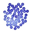100PCS/Set Numbered Label Numbered Tag for Farm Livestock Beekeeping Husbandry Breeding Supplies1-50 Blue Key Words 1
