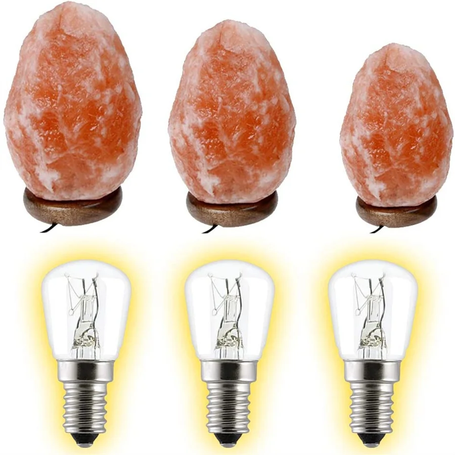 Incandescent Bulb 6 Pack Light bulb T26 E12/E14/E17/E27/B22 25/15W 120V/230V Incandescent Small Edison for Microwave Oven Fridege Salt Lamp