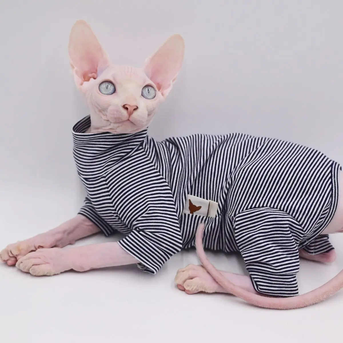 Sphynx Cat Leisure Clothes 2