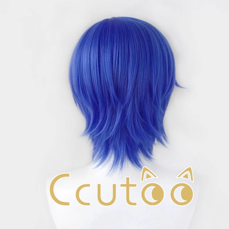 애니메이션 프로젝트 SEKAI COLORFUL STAGE Kaito 코스프레 가발 파란색 짧은 내열성 합성 헤어 파티 가발 + 가발 모자