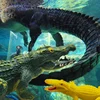 Forest Simulation Crocodile Lizard Model Soft Rubber Reptile Early Childhood Education Cognitive Props Halloween Funny Toys 5
