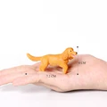 Cocker Spaniel