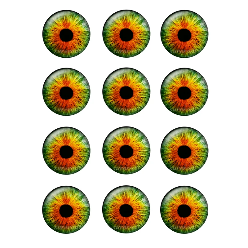 DIY 공예품용 초박형 유리 카보숑 인형 눈 칩, BH172, 봉지 당 12 쌍, 14mm