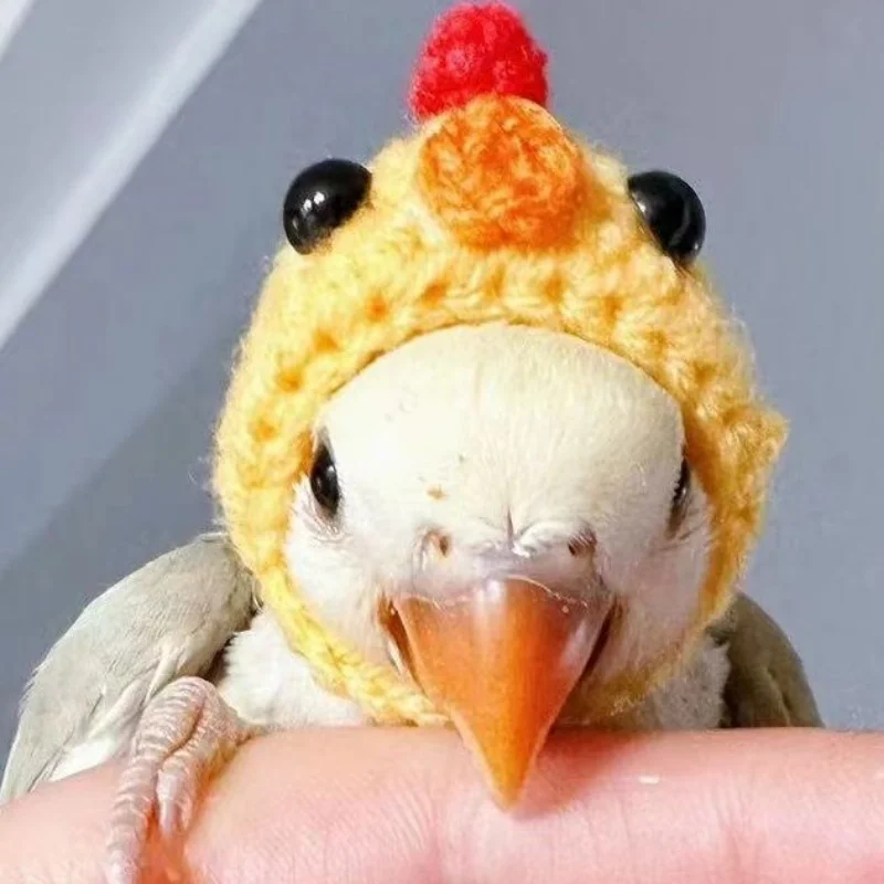 Budgerigar Cockatiel Peony Parrot Bird Hat Pet Wool Crochet Knitted Small Hairgear Headgear Casque Cover Birds Toys