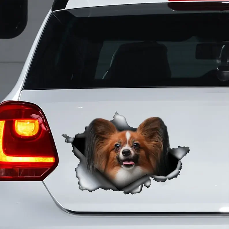 Decalcomania Papillon Rosso, Adesivo Papillon Rosso, Magnete Papillon, Decalcomania Auto