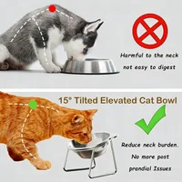 Cat Bowls Tilted Neck Guard Cat Food Bowl Indoor Stainless Steel Shatter Resistant Elevated 15° Pet Bowl For Kitten Puppy 2