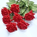 Red rose