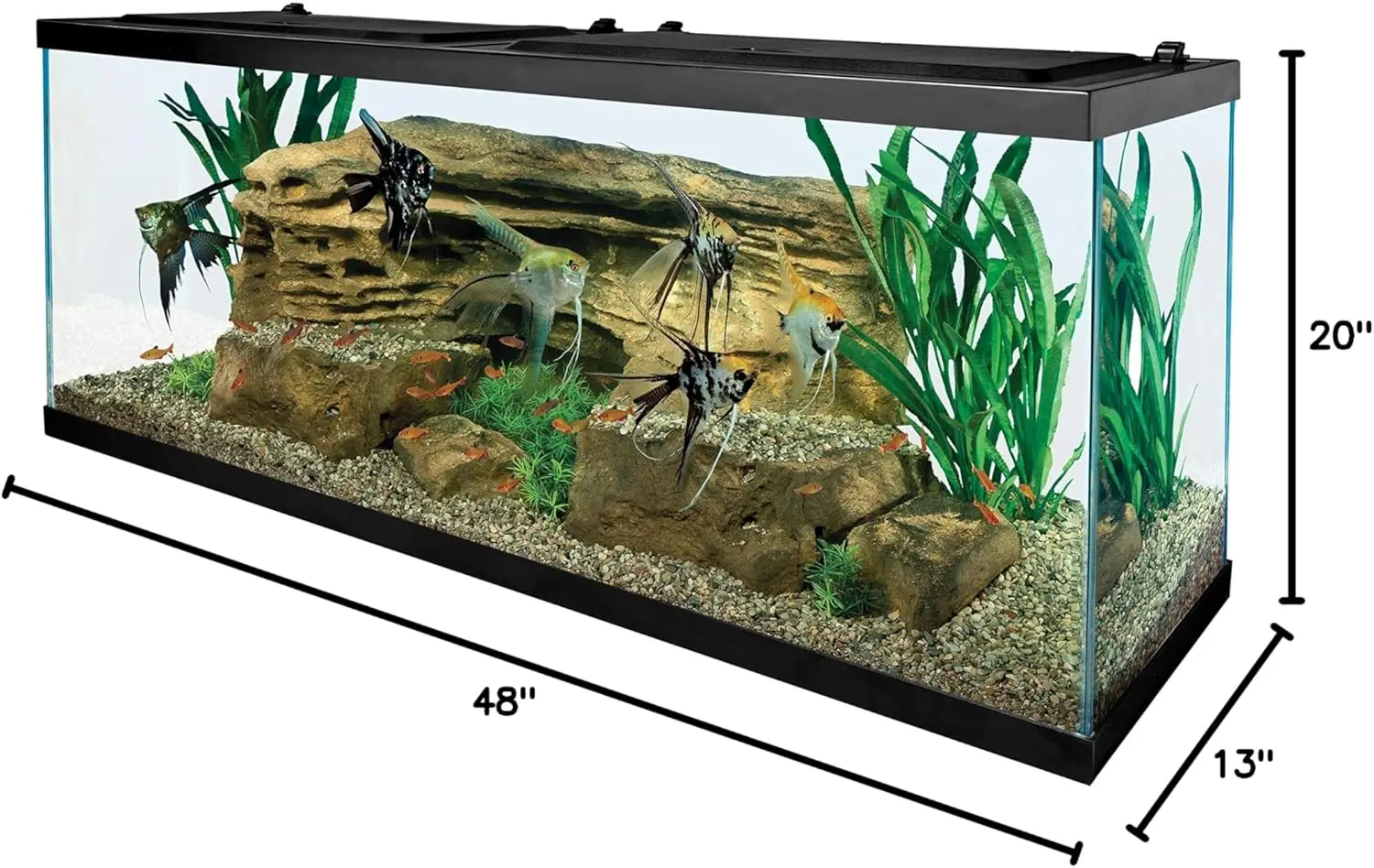 Glass Aquarium 4