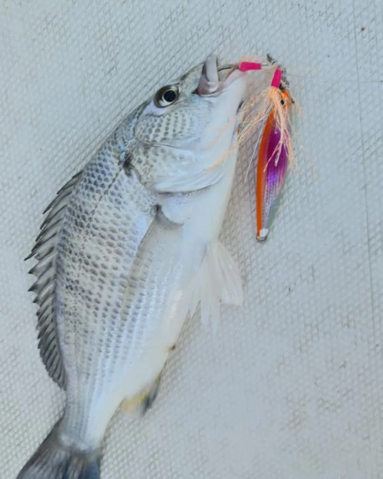 Rattle Fishing Jig Metal Sound  Fishing Lures Saltwater 30