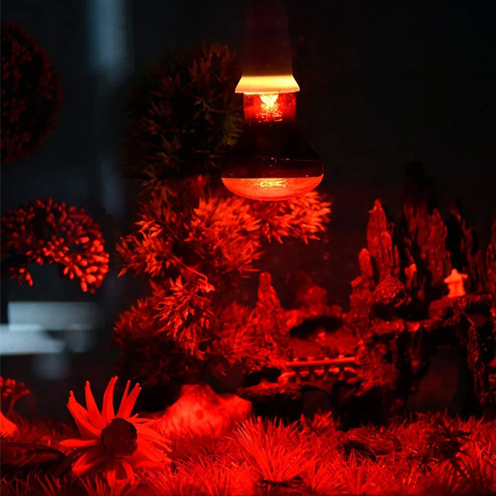 UVA Red Heating Lamp 220V Infrared Glass Bulb Amphibious Accessories for Reptiles Snake Lizards 25W 50W 100W Heating Bulb 6