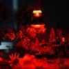 UVA Red Heating Lamp 220V Infrared Glass Bulb Amphibious Accessories for Reptiles Snake Lizards 25W 50W 100W Heating Bulb 6