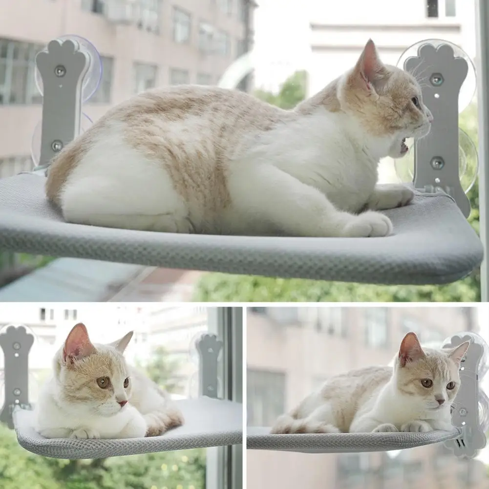 Poleiro De Janela Para Gatos RherGrac - Conforto E Segurança Para Seu Felino