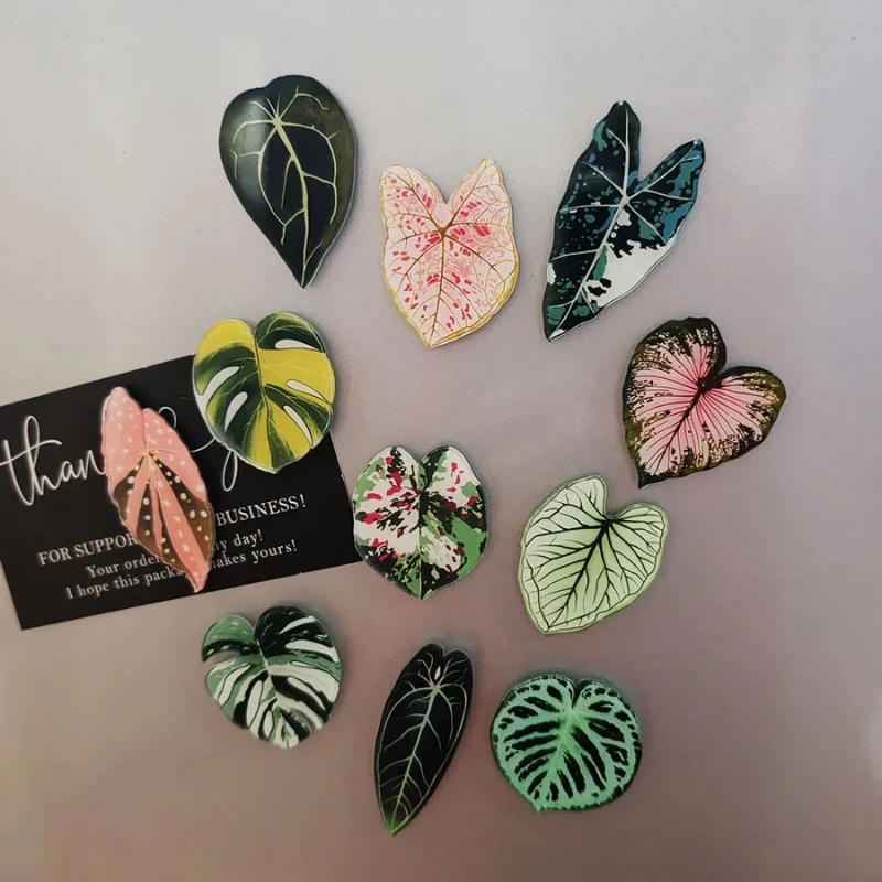 6pcs Cute Tropical Plant Magnets Begonia Monstera Fridge Stickers for Whiteboard Home Office Decor Non Slip Hold Photos Notes 1