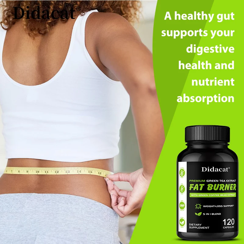 Garcinia Cambogia, Green Tea Extract, Promotes Fat Burning, Suppresses Appetite, Supports Weight Management