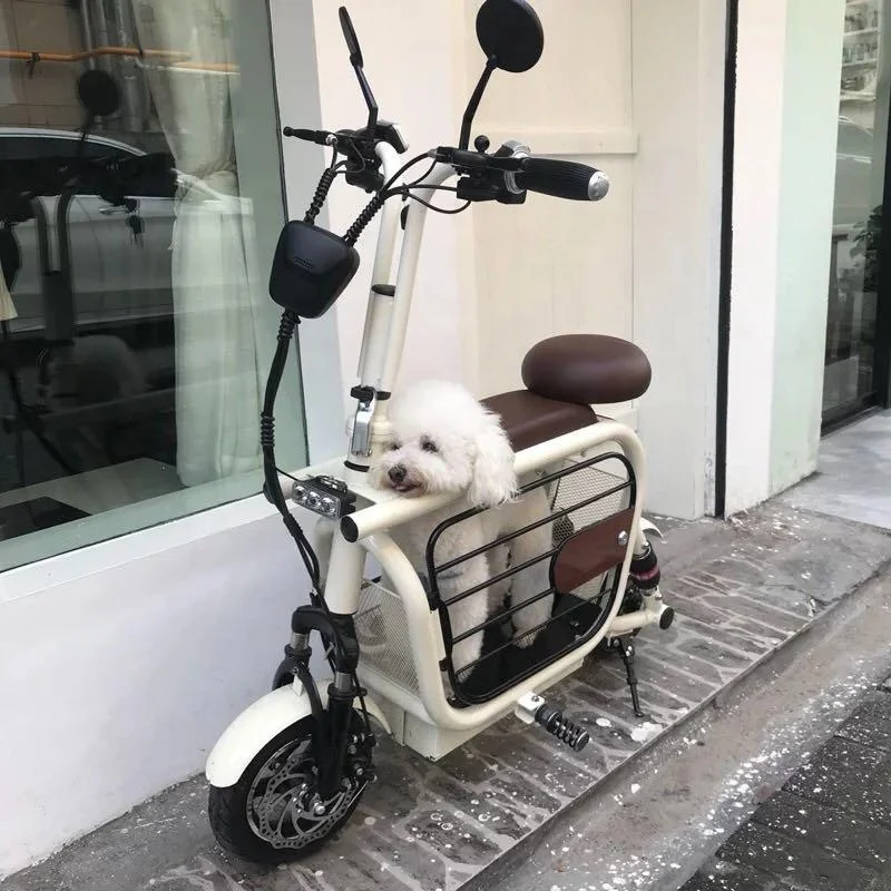 Good Price Electric Scooter Bike with Pet Carrier Scooter Pet Electric Citycoco for Dog Catcustom