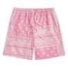 Men's Boho Drawstring Waist Shorts Paisley Print Summer Beach Shorts Fashion Shorts Men Plus Size Workout Gym Short Pants 2