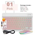 Pink-And Mouse