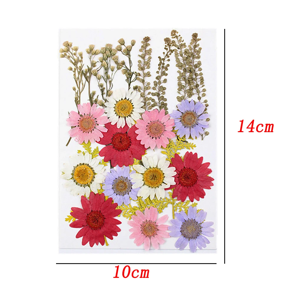 Babys Breath DIY Dried Flower Material Pack - DIY Craft Flower Specimen