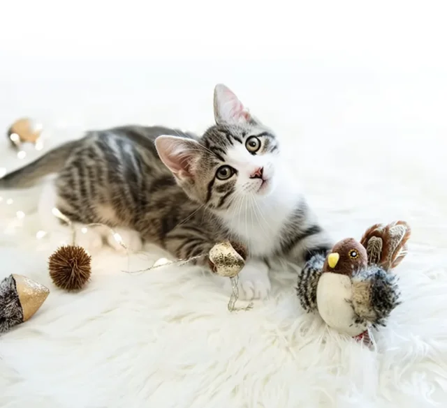 Interactive Cat Toys Flapping Bird Cat Toy Flying Wings Sparrow Catnip Toys Vivid Chirpi]ng Simulation Bird Interactive Cat Toy 3
