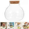 2Pcs Glass Terrarium Ecological Bottle Plant Vase Desktop MicroLandscape Bottle Transparent Glass Moss Crafts Mini Landscape 4