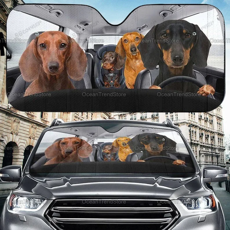 

Dachshund Car Sunshade, Dachshund Sun Shade, Dachshund Car Accessory, Dachshund Decor, Wife Gift, Dachshund Lover Gift PHT212107