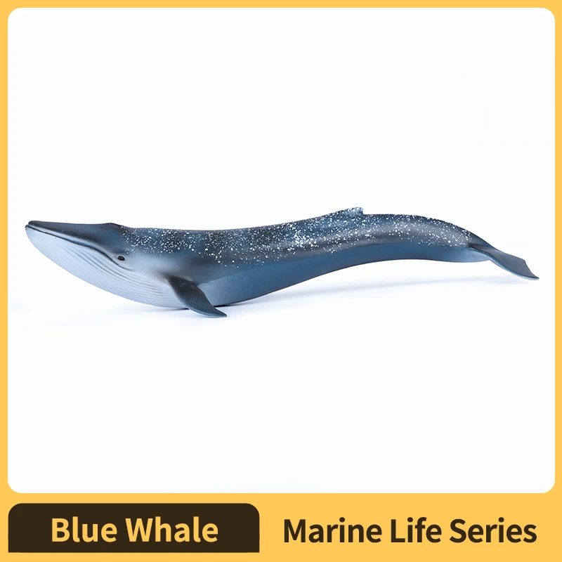 Sea Life Animals Blue Whale Miniature Ocean Decoration Toy