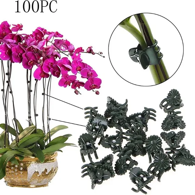 10-100 Perces Műanyag Növényi Tartó Klipek Orchidea Virágok Támaszpontú Mászó Szőlő Szár Kapcsolt Köteg Ágkert Szerszám - Image 6