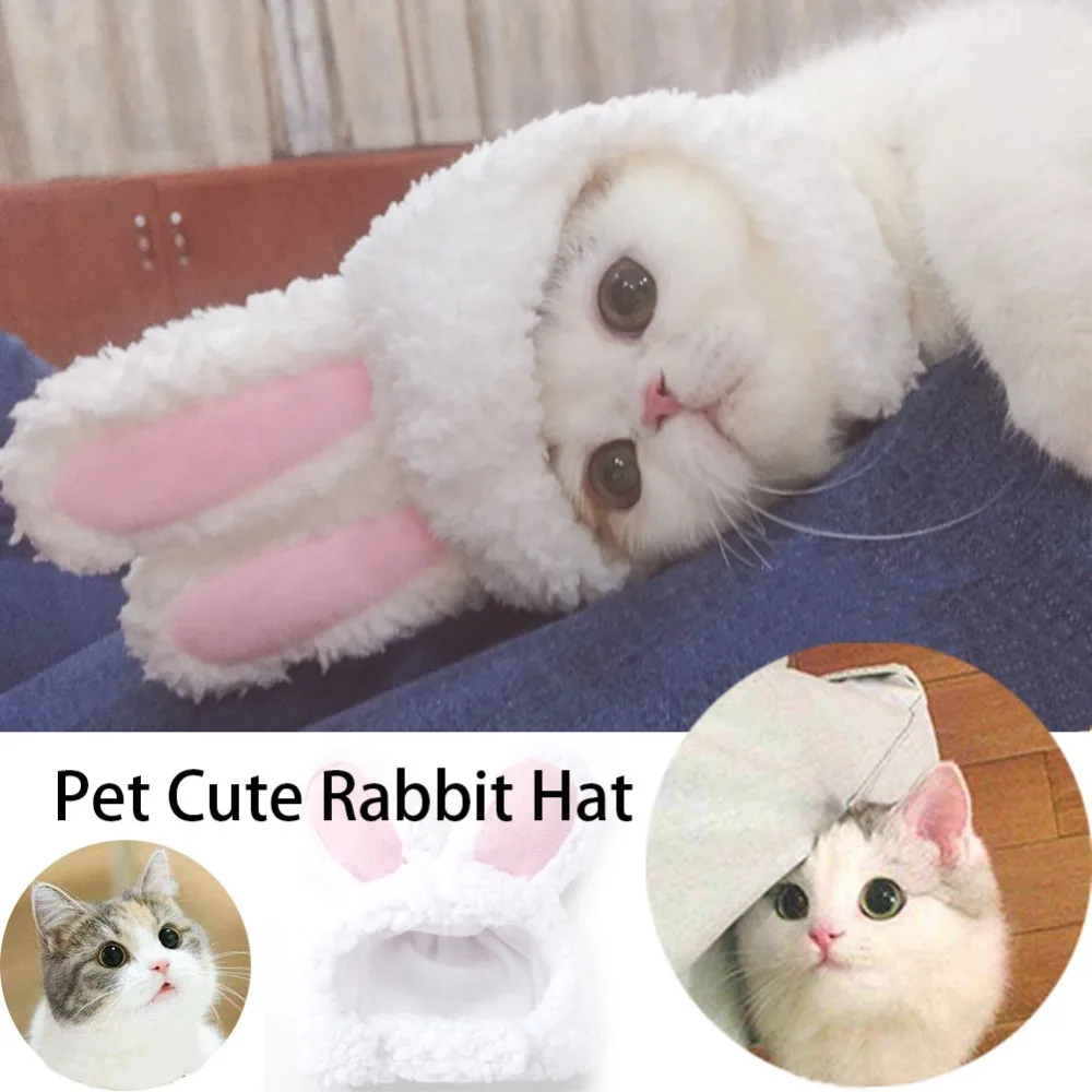 New-Fashion-Pet-Supplies-Mini-Rabbit-Ears-Pet-Cats-Hat-Dogs-Caps-Lovely-Style-Cross-dressing.jpg