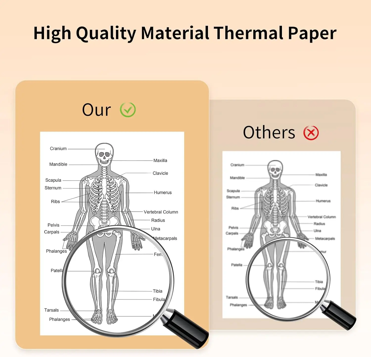 Thermal Printer Paper A4 Letter Size, 8.27x11.69''(210mm) Thermal Paper Quick-Dry, Compatible with A4 Thermal Printer,BPA Free