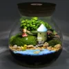 Micro Landscape Glass Bottle Vase Mouth Ball Moss Vase Hydroponic Terrarium Container Fish Tank Bottle With LED Light 5